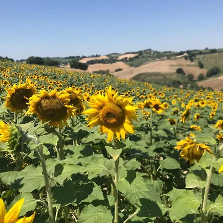 Il Posto Perfetto 4* Santa Maria Nuova (Ancona)