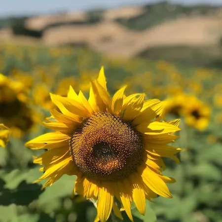 Nocleg ze śniadaniem Il Posto Perfetto 4*