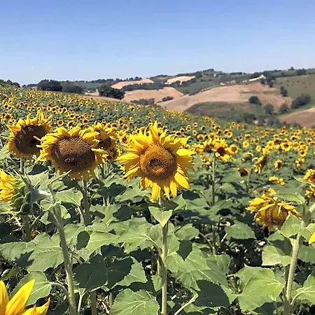 Il Posto Perfetto Bed & Breakfast Santa Maria Nuova (Ancona)