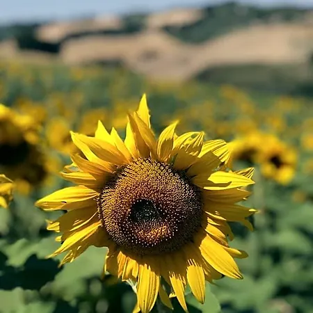 Il Posto Perfetto Santa Maria Nuova (Ancona)