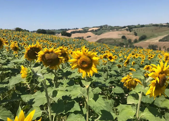 Il Posto Perfetto 4* Santa Maria Nuova (Ancona)